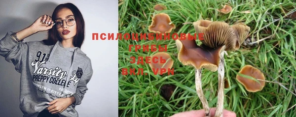 твердый Лихославль