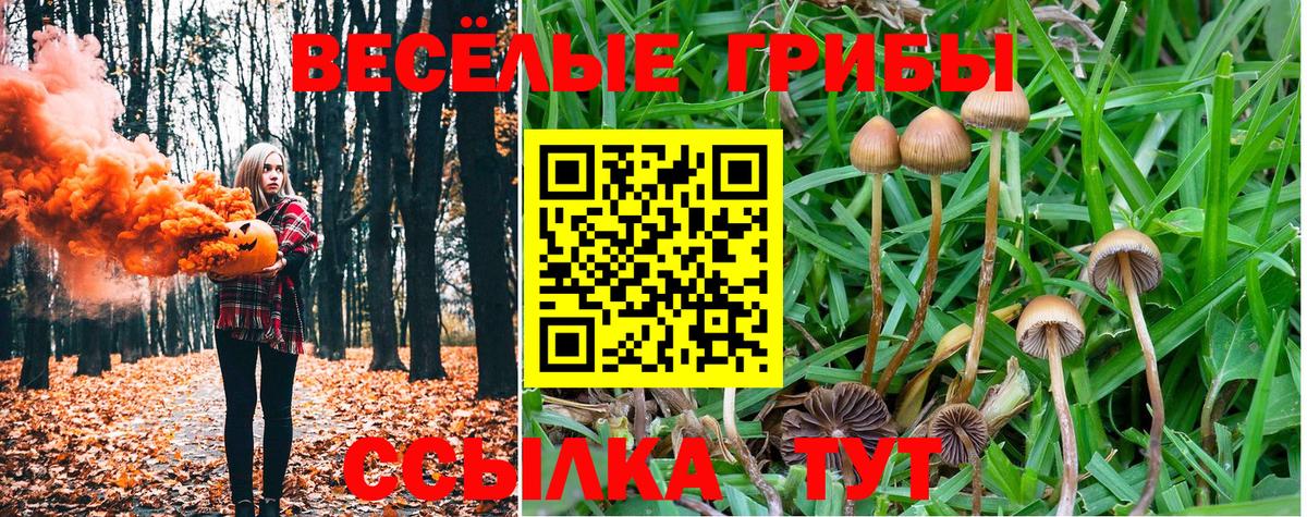 Туапсе  Псилоцибиновые грибы Magic Shrooms  Псилоцибиновые грибы GOLDEN TEACHER  Вход с VPN 